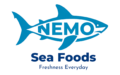 web logo nsf (1)